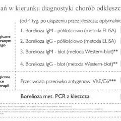 Badanie na boreliozę cena: IgM ELISA 25 zł, IgG ELISA 25 zł, IgM Western-blot 75 zł, IgG Western-blot 75 zł. PCR z kleszcza 140 zł.