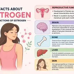 Ilustracja przedstawia kluczowe funkcje estrogenu, ważnego hormonu dla kobiet, wpływając na reprodukcję, mózg, kości, wątrobę i skórę.
