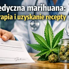 Lekarz podaje receptę na medyczną marihuanę, obok liść konopi i słoik z suszem.