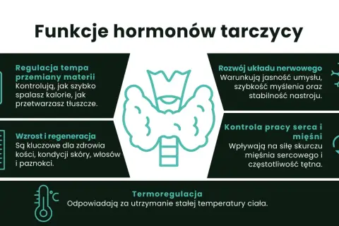 Hormony tarczycy regulują metabolizm, rozwój układu nerwowego, wzrost, regenerację, pracę serca i mięśni oraz termoregulację.
