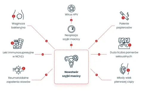 Wirus HPV to przyczyna nowotworu szyjki macicy. Ryzyko zwiększa też palenie, duża liczba partnerów, młody wiek ciąży, waginoza, NChZJ i RZS.