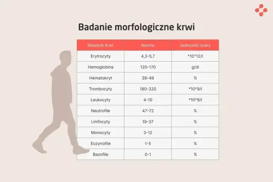 Tabela z badaniem morfologicznym krwi: wbc morfologia co to jest, zawiera normy dla erytrocytów, hemoglobiny, hematokrytu, trombocytów, leukocytów i ich podtypów.