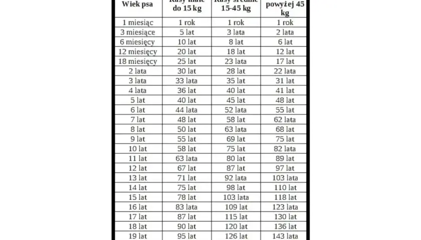 Tabela przedstawia normy wagi dla psów różnych ras, od małych do dużych, w zależności od ich wieku.