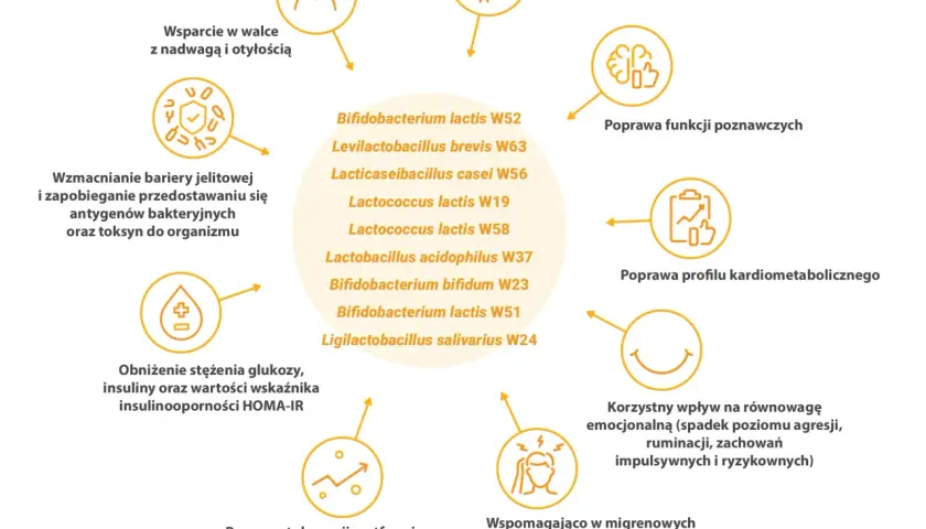Sanprobi IBS pomaga w walce z nadwagą, wzmacnia barierę jelitową, poprawia funkcje poznawcze i profil kardiometaboliczny.