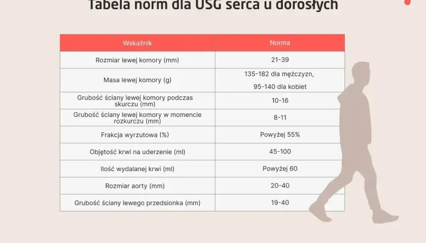 Tabela norm USG serca. Wskaźniki takie jak rozmiar lewej komory, masa, grubości ścian, frakcja wyrzutowa i objętość krwi na uderzenie pomagają ocenić echo serca.