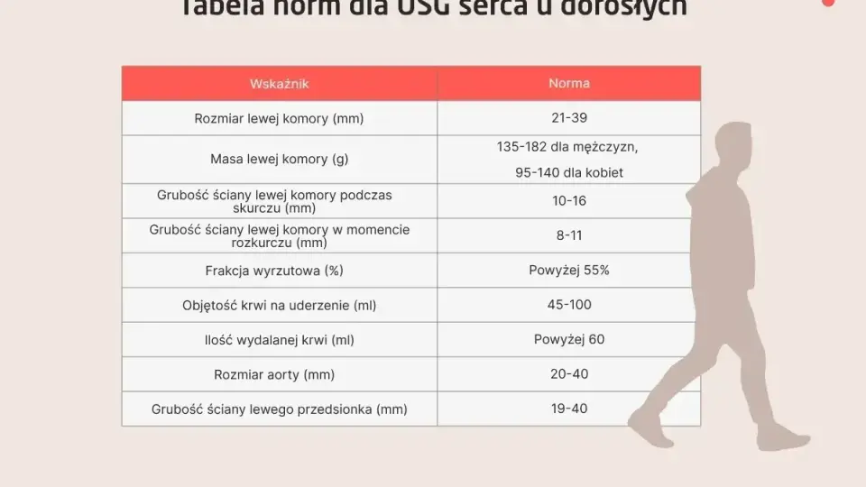 Tabela norm USG serca. Wskaźniki takie jak rozmiar lewej komory, masa, grubości ścian, frakcja wyrzutowa i objętość krwi na uderzenie pomagają ocenić echo serca.