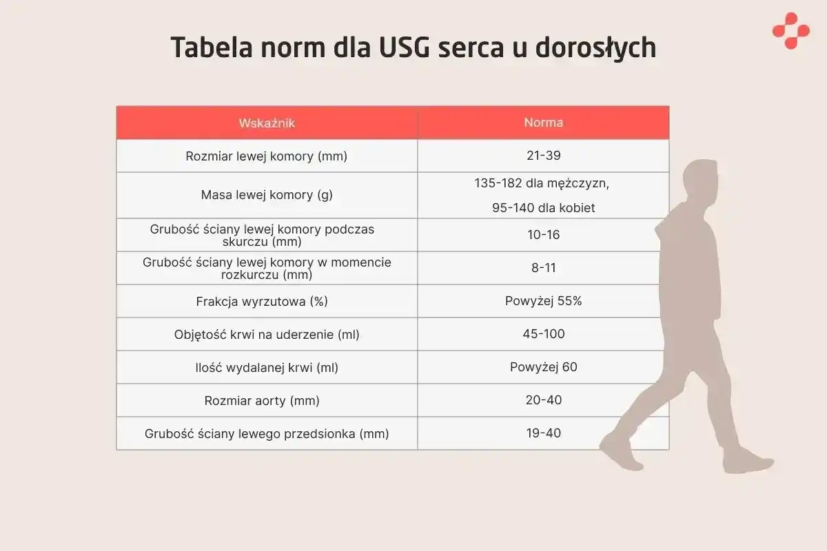 Echo serca - co musisz wiedzieć, by zrozumieć wynik?