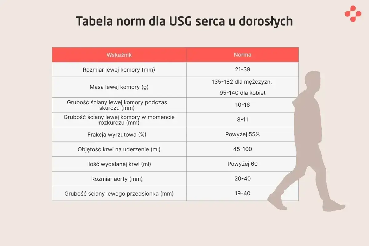 Tabela norm USG serca. Wskaźniki takie jak rozmiar lewej komory, masa, grubości ścian, frakcja wyrzutowa i objętość krwi na uderzenie pomagają ocenić echo serca.