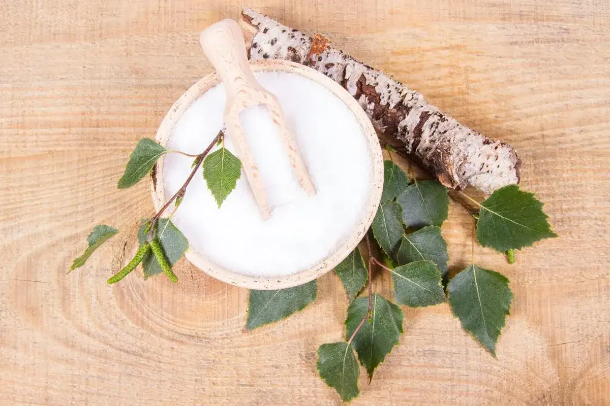 Ksylitol co to? Biały proszek w miseczce, drewniana łyżka, gałązka brzozy i kora. Naturalny słodzik.